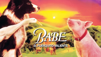 "Babe: El Cerdito Valiente" (Latino) .vʍց,