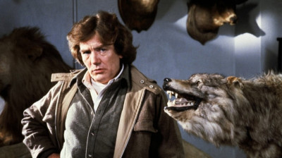 "WOLFEN"(1981) de Michael Wadleigh avec Albert Finney