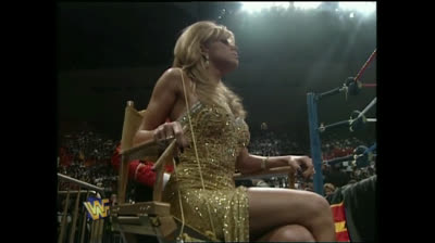 1996.01.21 ⭐ Goldust vs Razor Ramon (IC Title) ⭐ WWF Royal Rumble