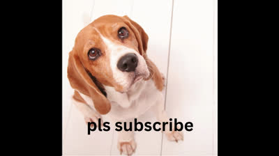 pls subscribe