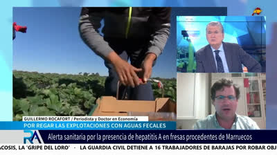 Guillermo Rocafort descubrió que Marruecos utiliza para cultivar sus productos aguas fecales