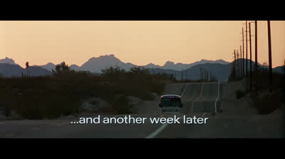 Arac attack, les monstres à huit pattes